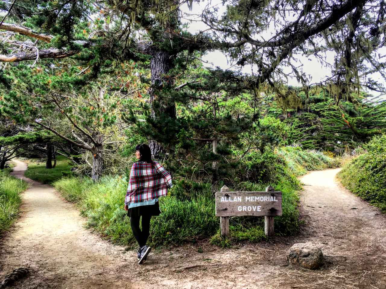 Parques da Califórnia : Point Lobos