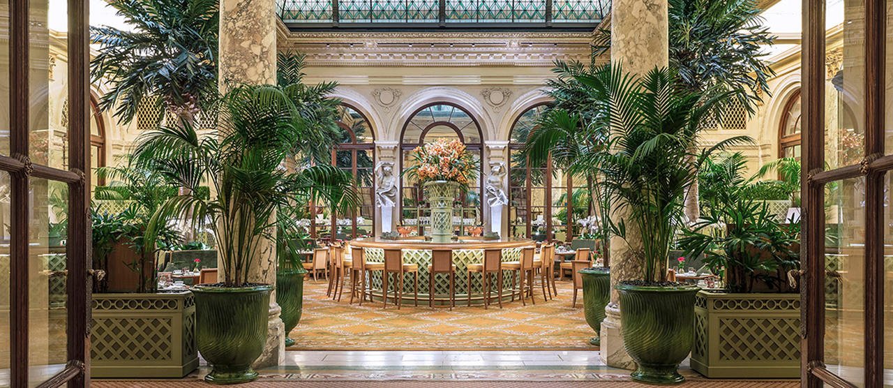 The Plaza Hotel - The Palm Court