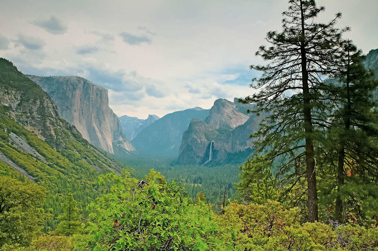 As belezas do Parque Nacional de Yosemite na Califórnia