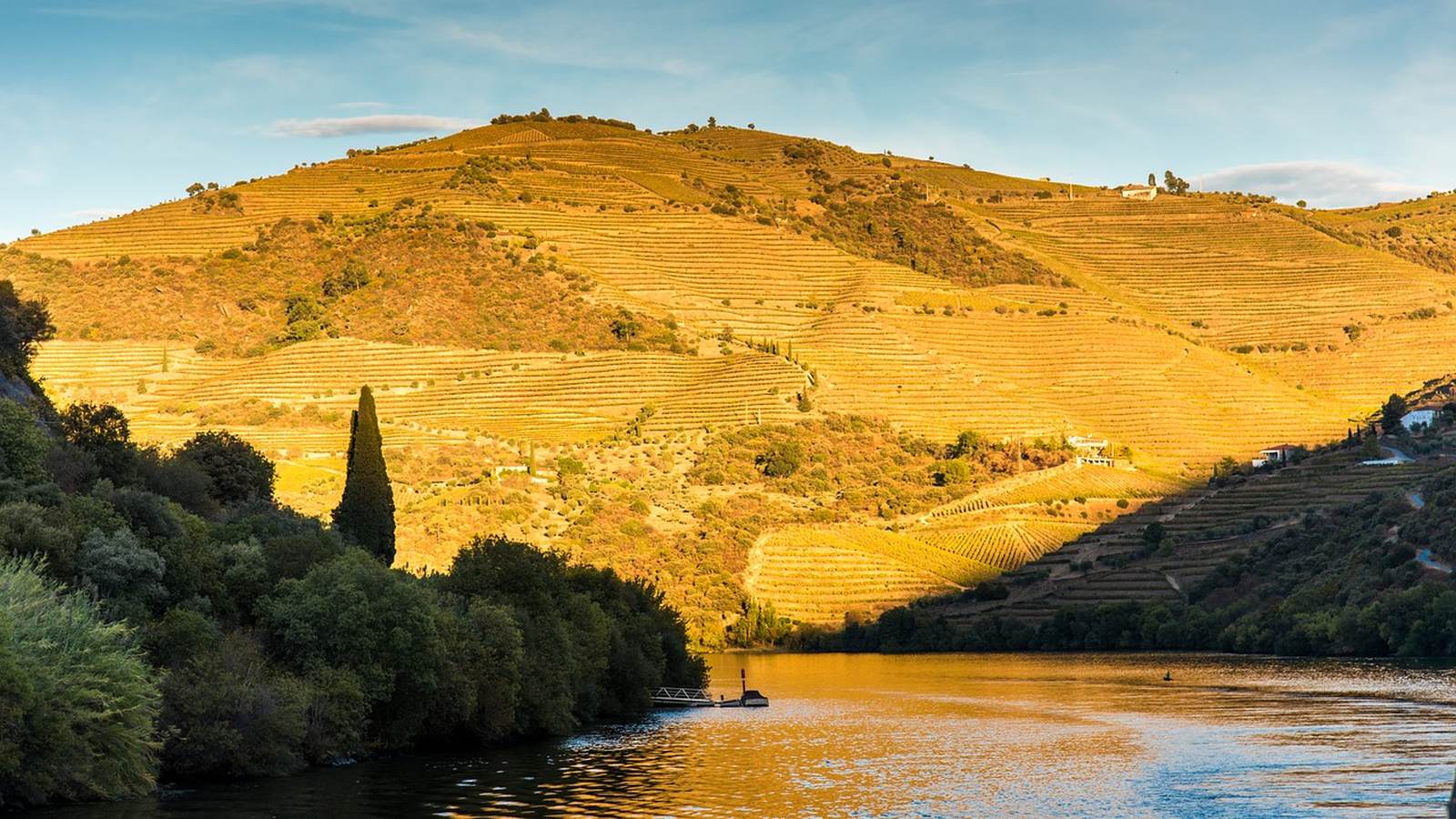 A charmosa rota do vinho do Douro e Porto